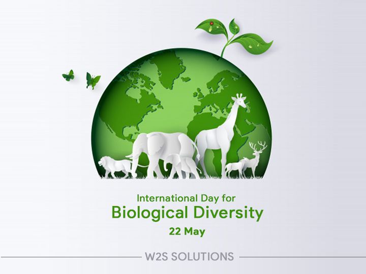 International Day for Biological Diversity