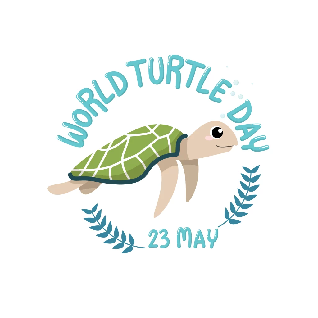 World Turtle Day