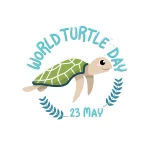 World Turtle Day